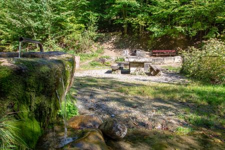 Feuerstellen und Picknickstellen im Seetal, Schweiz